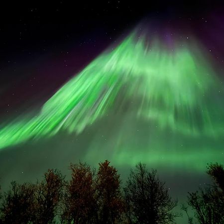 Hakoya Lodge Tromso Luaran gambar