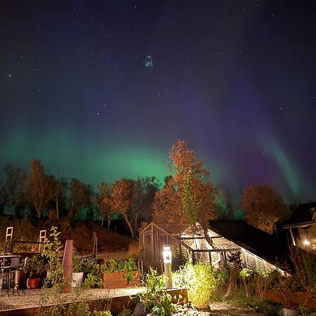 Hakoya Lodge Tromso Luaran gambar
