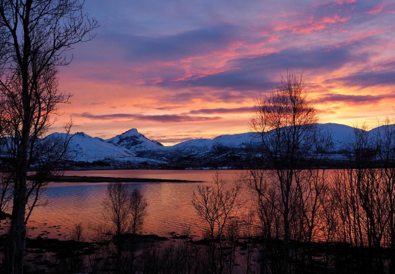 Hakoya Lodge Tromso Luaran gambar
