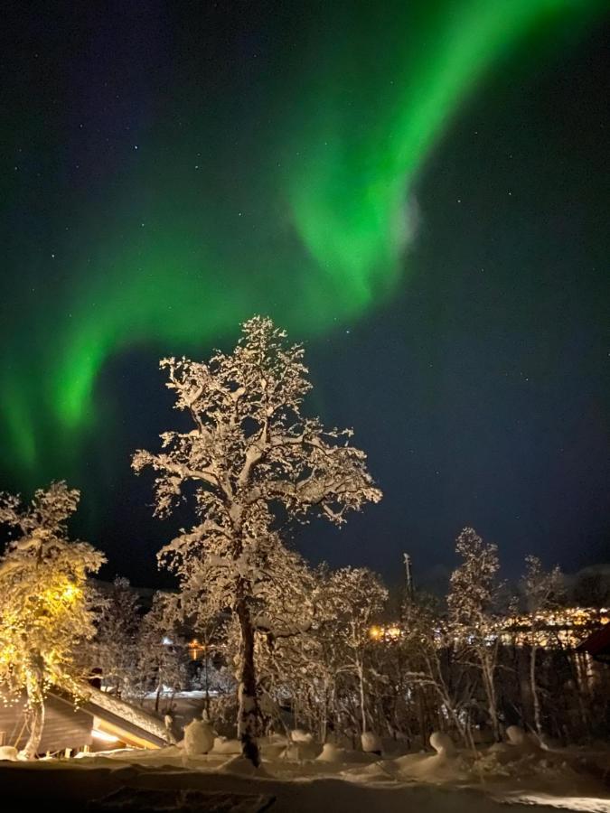 Hakoya Lodge Tromso Luaran gambar