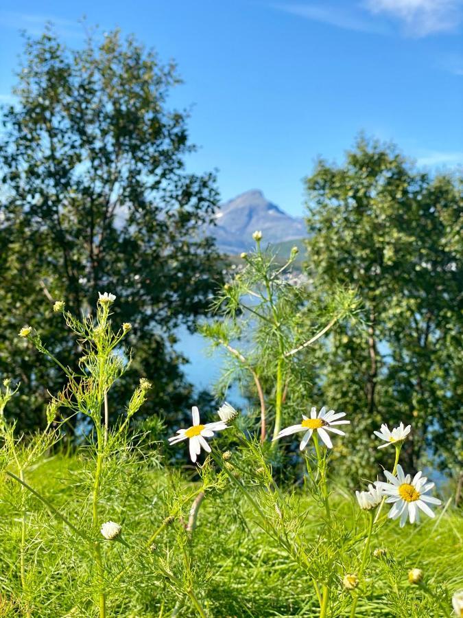 Hakoya Lodge Tromso Luaran gambar