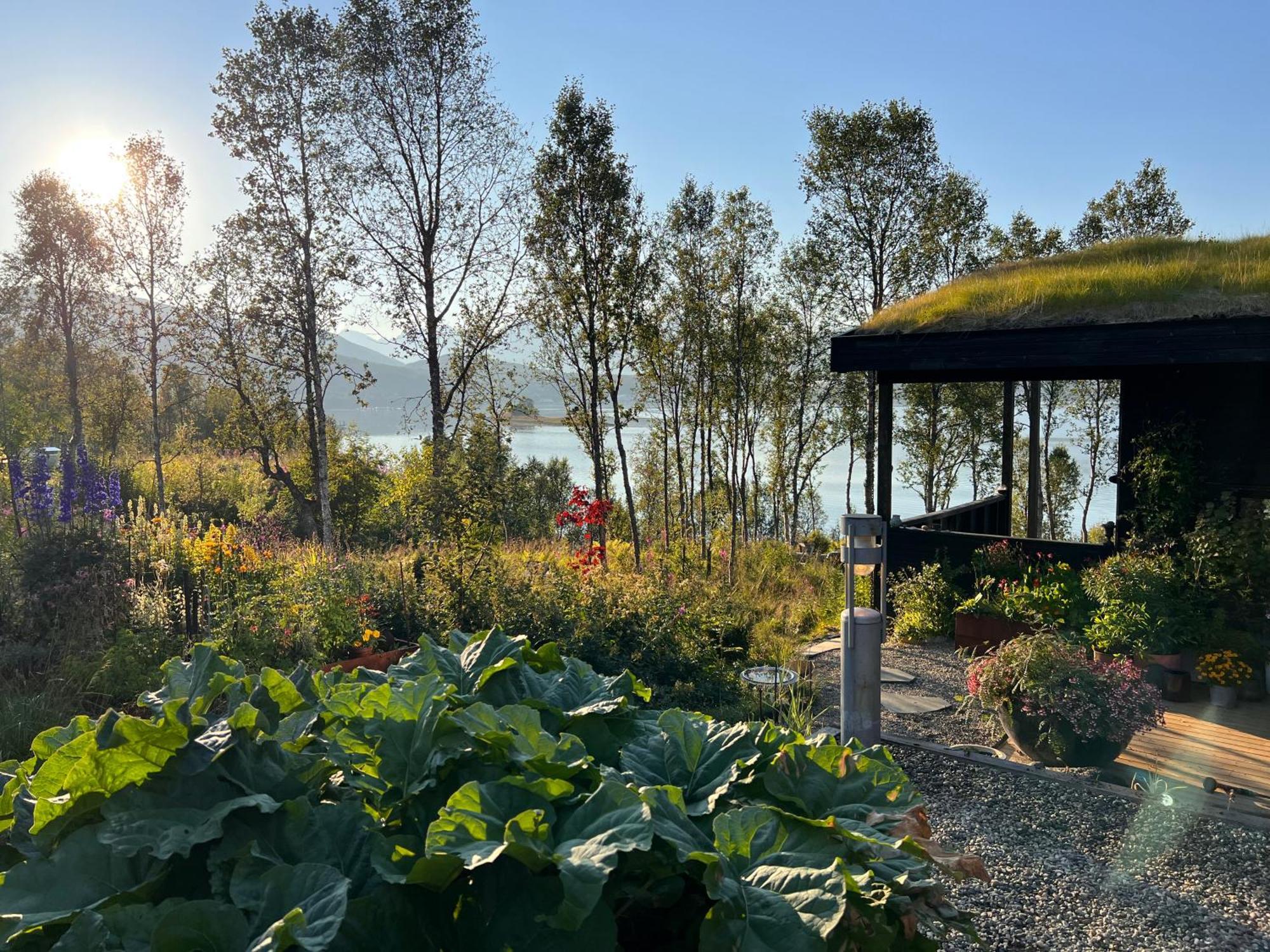 Hakoya Lodge Tromso Luaran gambar