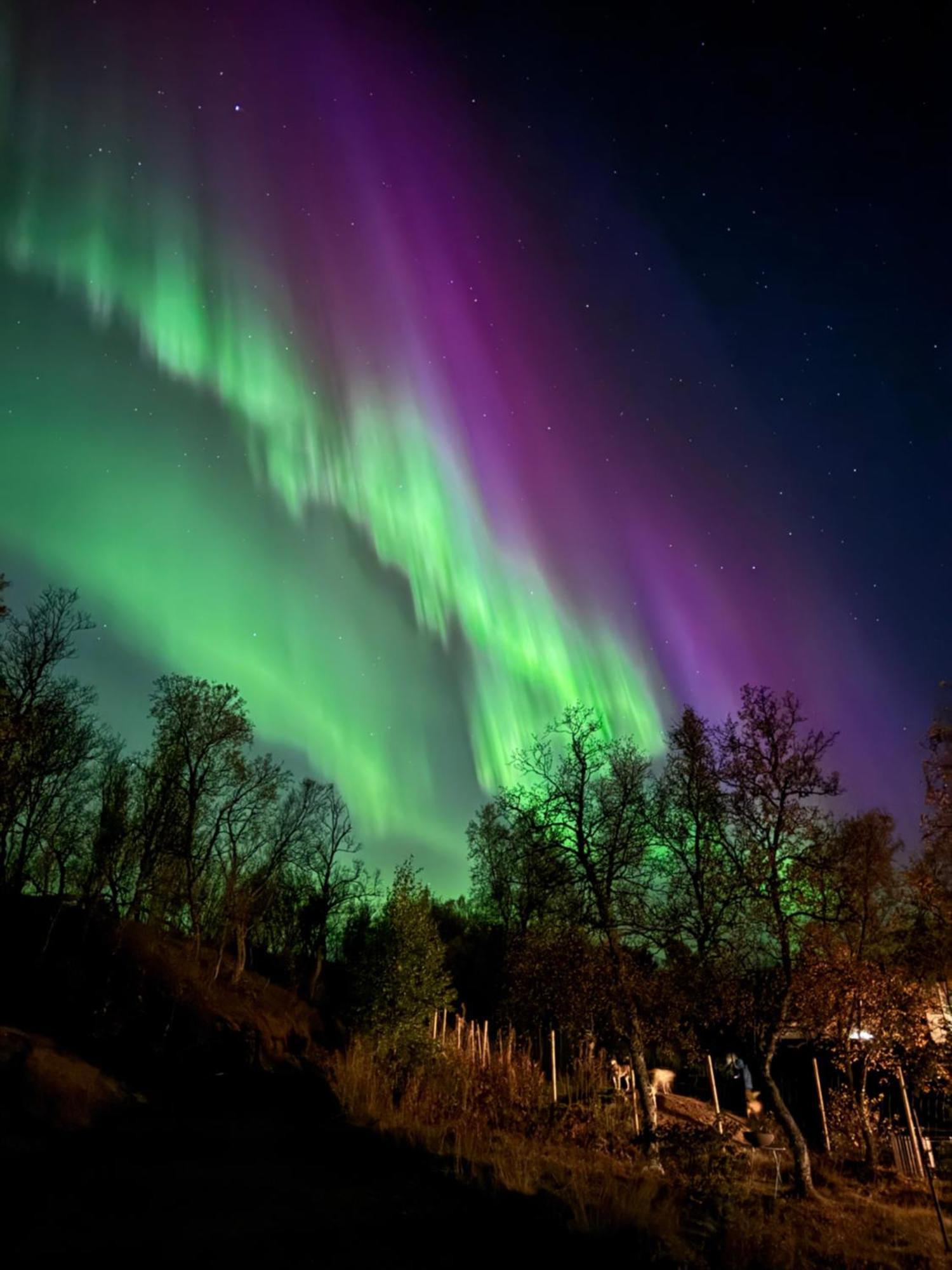 Hakoya Lodge Tromso Luaran gambar