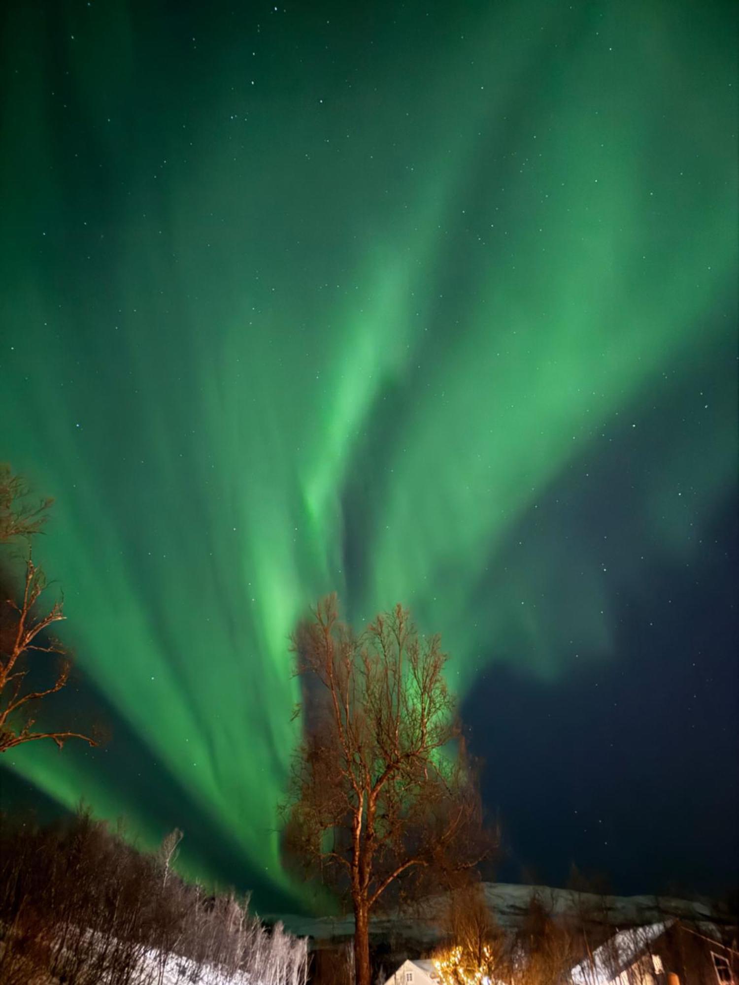 Hakoya Lodge Tromso Luaran gambar