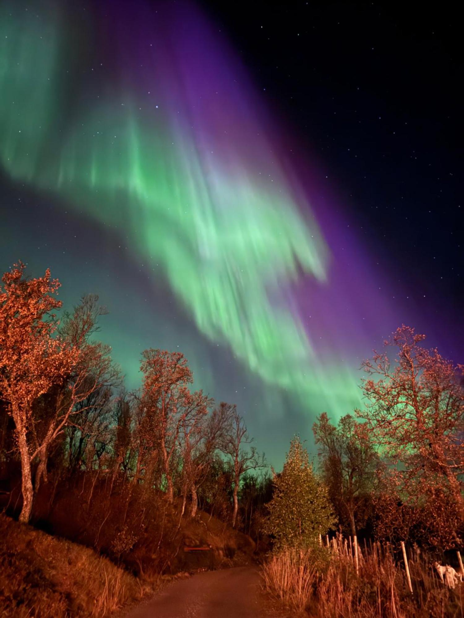 Hakoya Lodge Tromso Luaran gambar